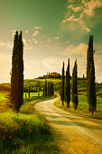Vintage Tuscany countryside landscape