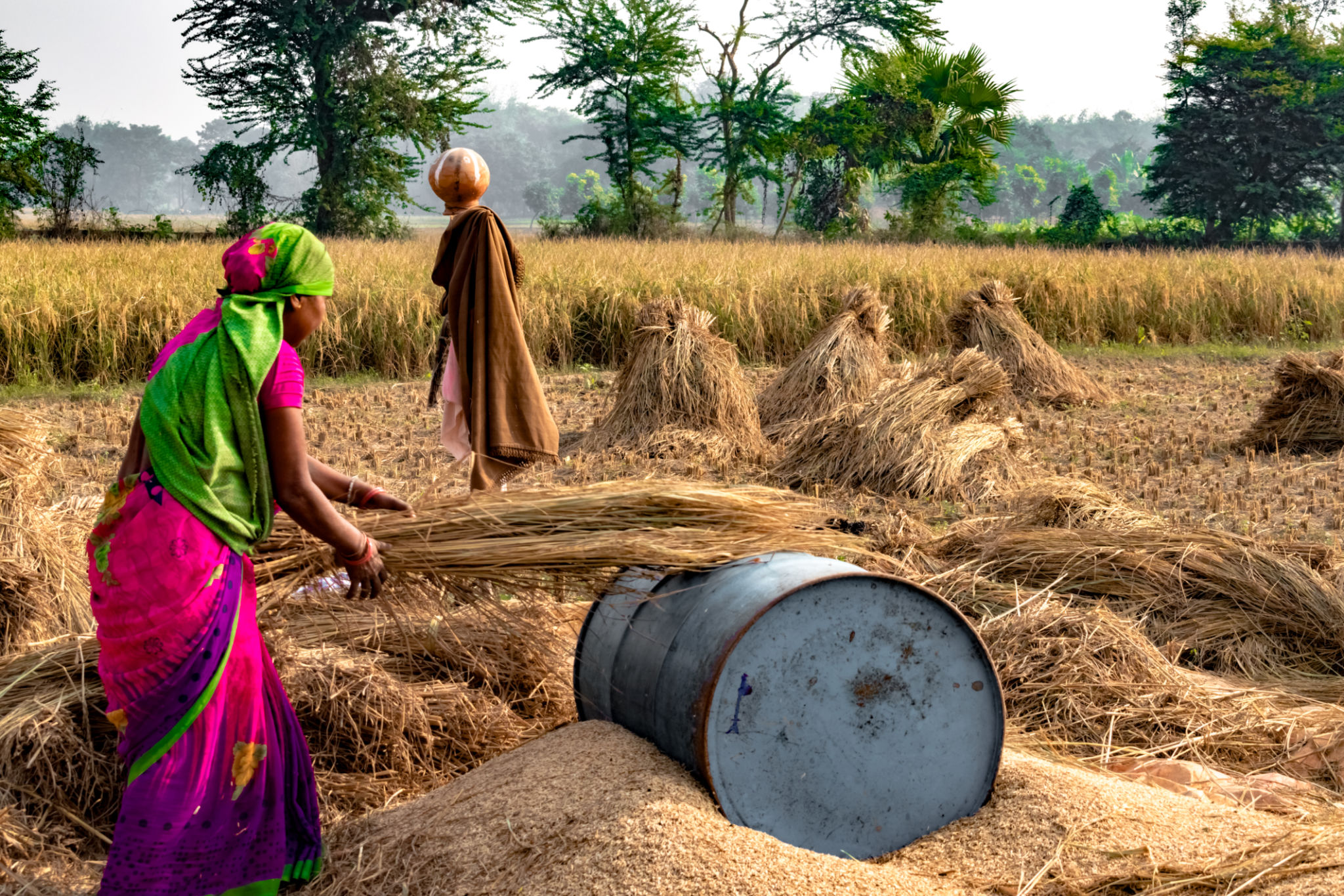 gender equality India