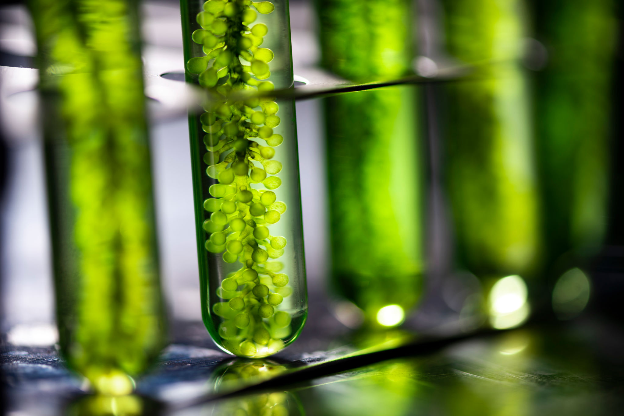 sustainable sourcing