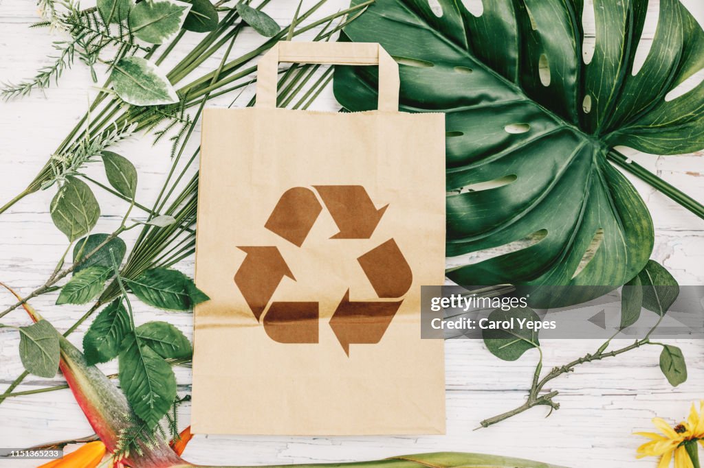 Directly above recycled paper bag and green leaves