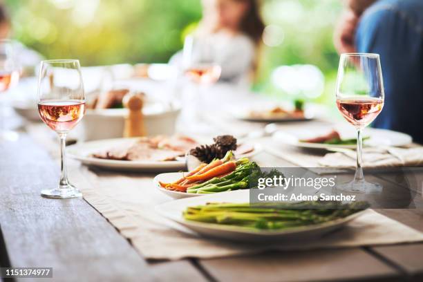 siempre han sido una familia de verduras - thanksgiving plate of food fotografías e imágenes de stock