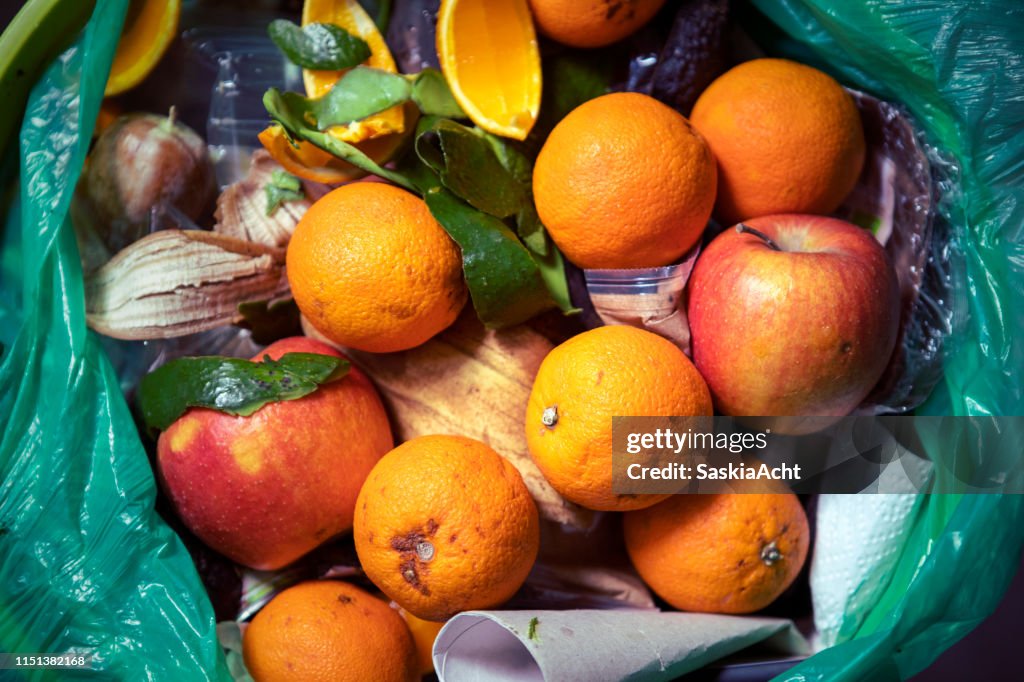 Food waste problem, leftovers Thrown into into the trash can. Spoiled food in refuse bin. Spoiled oranges and apples close up. Ecological issues. Garbage. Concept of food waste reduction. From above.
