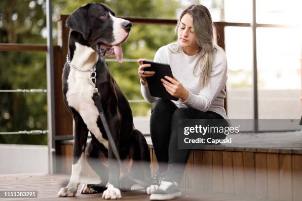 giovane donna che legge l'e-book con il suo cane - alano tedesco foto e immagini stock