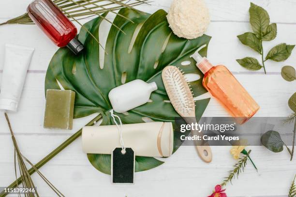 natural cosmetics ingredients for skincare, body and hair care - herbal medicine stock photos et images de collection