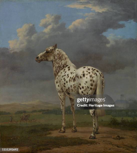 Piebald Horse, ca 1654. Found in the collection of the J. Paul Getty Museum, Los Angeles. Artist Potter, Paulus .