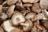 Shiitake mushrooms, full frame cover photo. Lentinula edodes. Shiitake champignions. Mushroom background texture. Shiitake is an edible mushroom native to East Asia.