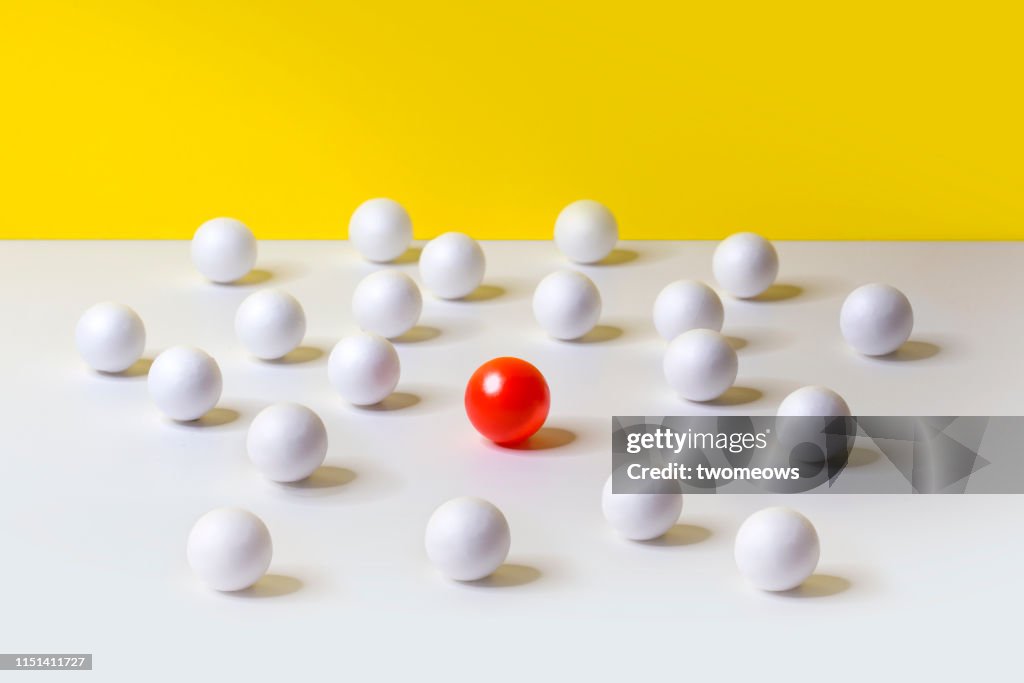 Singled out still life image.