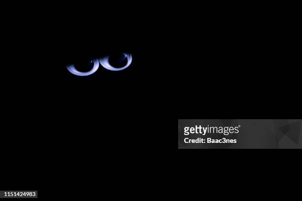 googly eyes on black background - comic augen stock-fotos und bilder