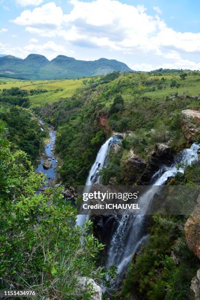 lisbon falls south africa - província de mpumalanga imagens e fotografias de stock