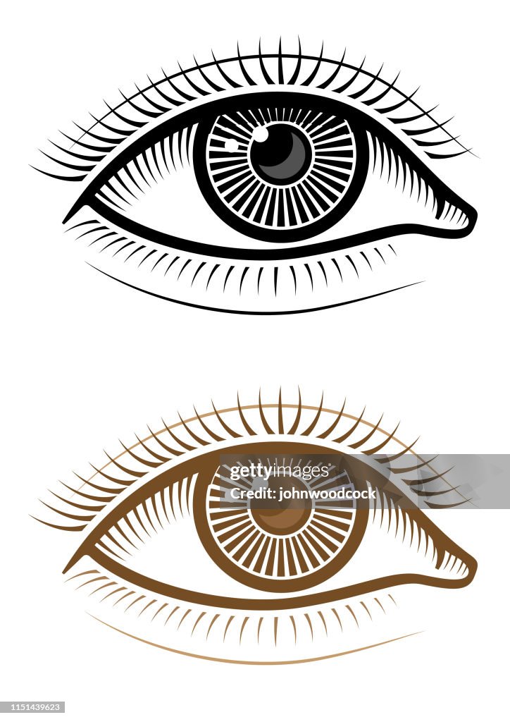 Vector Style Eye Simple Eye Vector