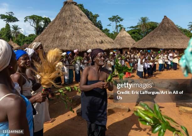 Dan tribe women dancing during a ceremony, Bafing, Gboni, Ivory Coast on May 5, 2019 in Gboni, Ivory Coast.