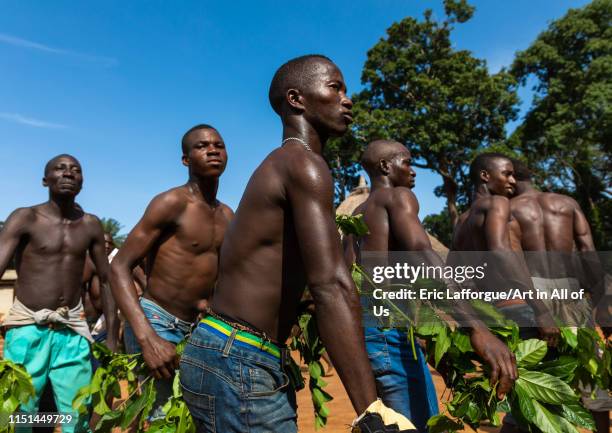 Dan tribe men dancing with leaves during a ceremony, Bafing, Gboni, Ivory Coast on May 5, 2019 in Gboni, Ivory Coast.