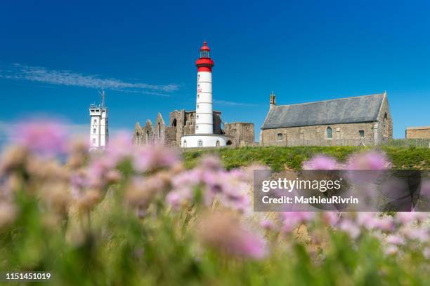 journée d'été à la pointe saint-mathieu en fleurs - fleur dété photos et images de collection