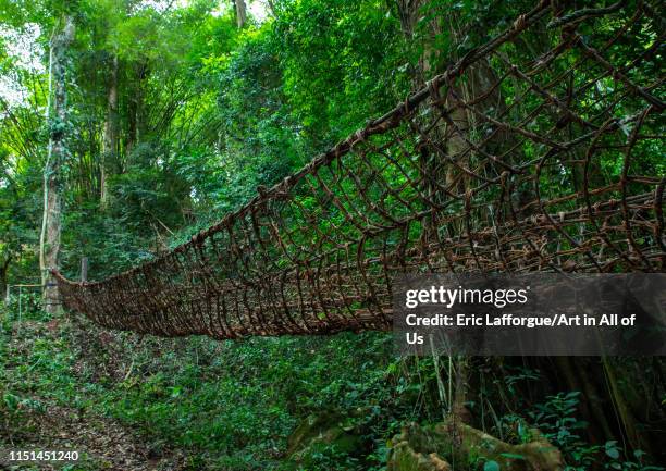Vine Rope Bridge Vine Bridge Photos and Premium High Res Pictures - Getty Images