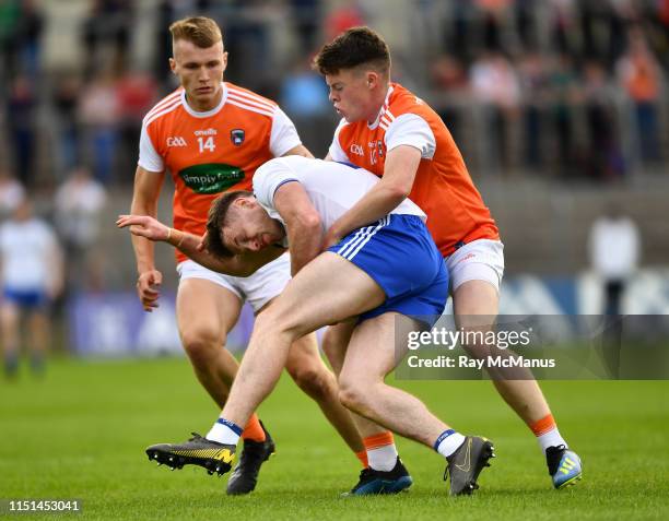 Fintan Riley St Fintan Photos et images de collection - Getty Images