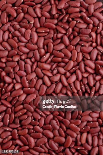 red kidney beans - bean stock-fotos und bilder