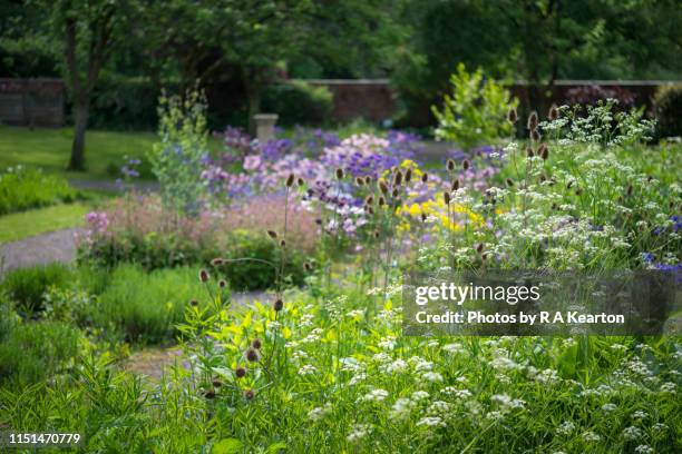 early summer flowers in a walled garden - garden wall stock pictures, royalty-free photos & images