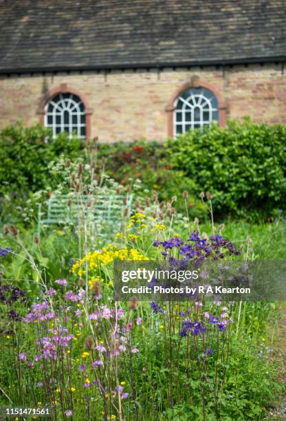 early summer flowers in a walled garden - garden wall stock pictures, royalty-free photos & images