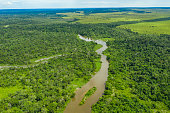 Meandering jungle river in the rainforest of the Congo Basin