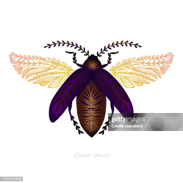 Locus Insect Drawing 146 Locust Drawing Stock Photos, High-Res Pictures, and Images - Getty ...