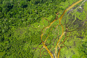 Aerial view of a bai (saline, mineral clearing) in the rainforest, Congo