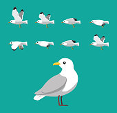 Seagull Flying Animation Sequence Cartoon Vector
