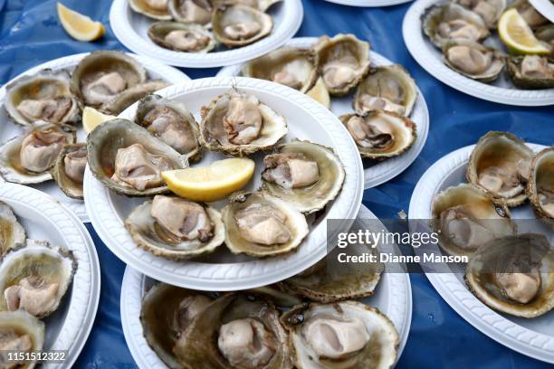 Bluff oysters are ready to serve to festival goers during the Bluff Oyster & Food Festival on May 25, 2019 in Bluff, New Zealand. The annual event...