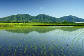 A paddy field and 3 peaks of Mt. Hiruzen in early summer