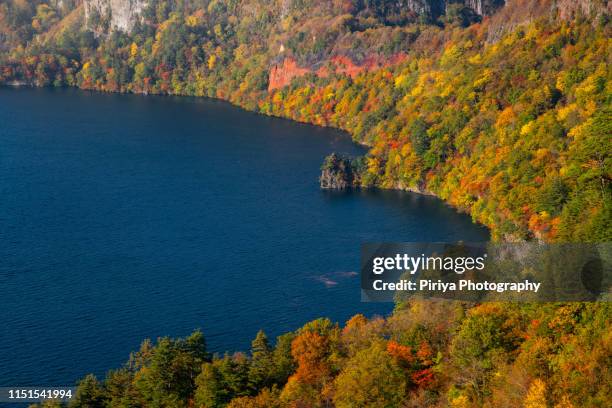 lake towada autumn - aomori - fotografias e filmes do acervo