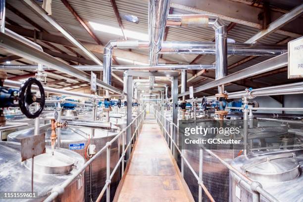 dairy factory in africa - milk production line stock pictures, royalty-free photos & images