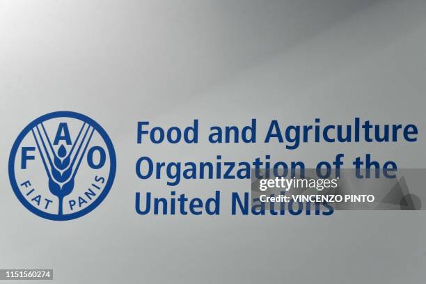 The logo of the Food and Agriculture Organization of the United Nations agency of the United Nations is pictured within a plenary assembly for the...