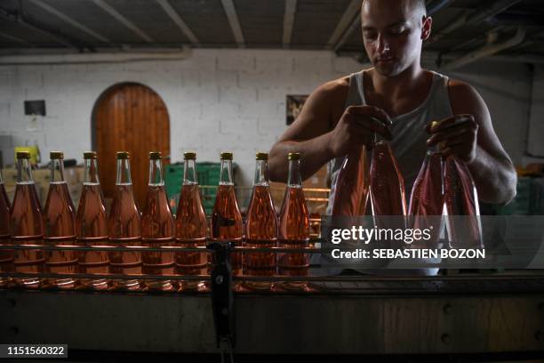 Man carries bottles of "Rubis de Rhubarbe", a kind of rhubarb juice, at the Maison Moine in Xertigny, eastern France. - The rhubarb harvest lasts...