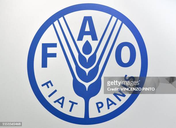 The logo of the Food and Agriculture Organization of the United Nations agency of the United Nations is pictured within a plenary assembly for the...