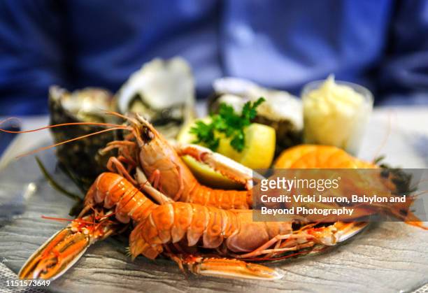 crawfish and shrimp seafood platter against blue background - seafood platter foto e immagini stock