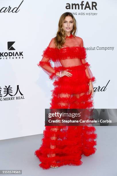 Fernanda Liz attends the amfAR Cannes Gala 2019 at Hotel du Cap-Eden-Roc on May 23, 2019 in Cap d'Antibes, France.