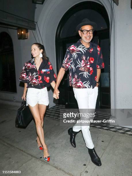 Jeff Goldblum and Emilie Livingston are seen on June 22, 2019 in Los Angeles, California.