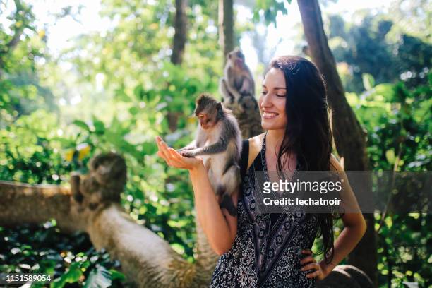 young woman playing with monkeys in ubud, bali, indonesia - ubud monkey forest stock pictures, royalty-free photos & images