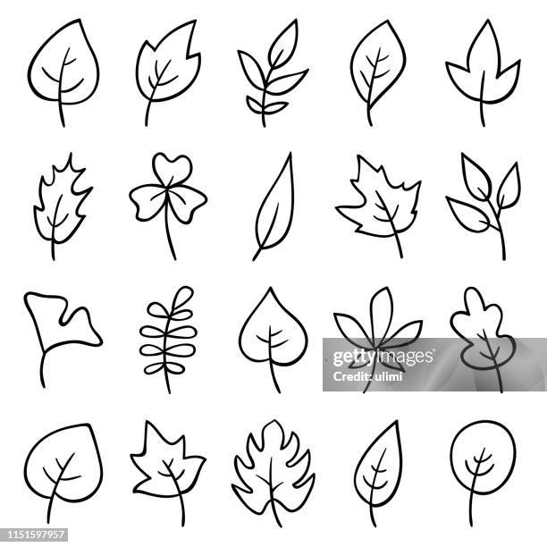 stockillustraties, clipart, cartoons en iconen met hand getrokken bladeren - leaf