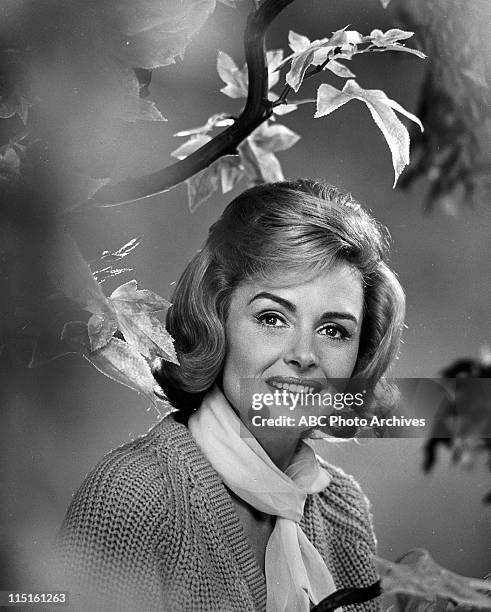 Daniel Reed Show Donna Reed Show 1963