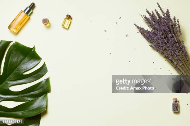 biologische cosmetica met lavendel bloemen en olie op witte achtergrond met kopieerruimte, bovenaanzicht en platte lay - natuurlijke staat stockfoto's en -beelden