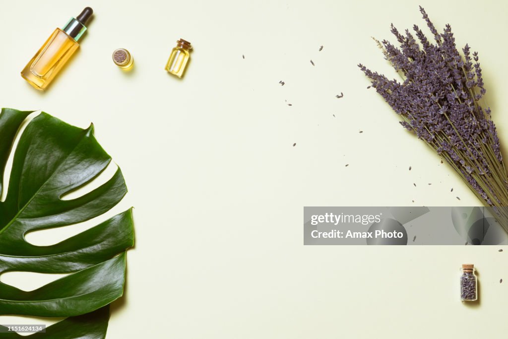 Organic cosmetic with lavender flowers and oil on white background with copy space, top view and flat lay