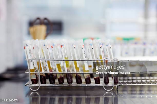 Label Lab Group 2,282 Laboratory Labels Stock Photos, High-Res Pictures, and Images ...