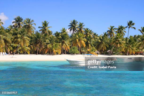 paradisiac beach at punta cana, dominican republic - dominican republic stock pictures, royalty-free photos & images