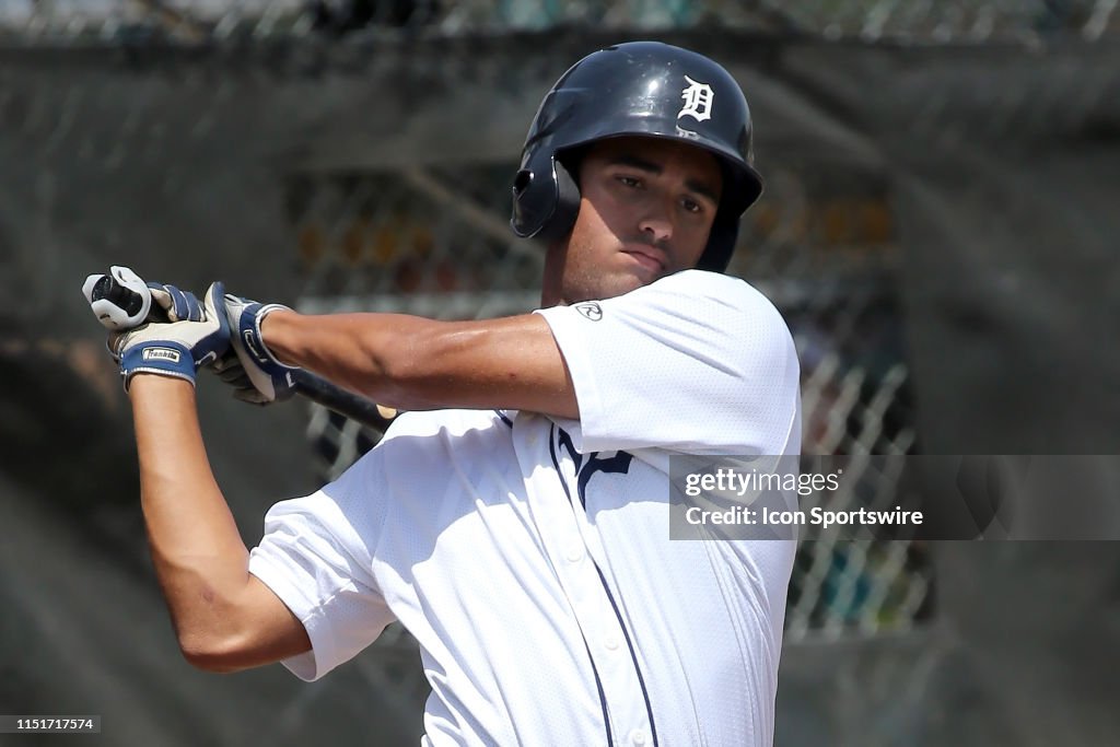 MiLB: JUN 24 Gulf Coast League - Blue Jays at Tigers West