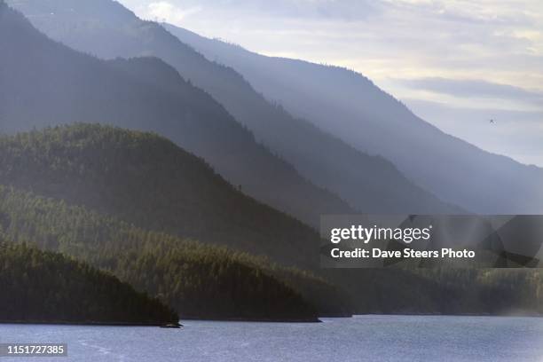 sunshine coast - vc stockfoto's en -beelden