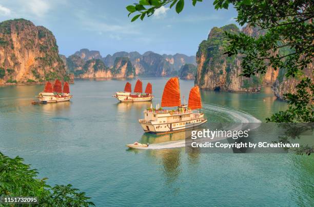 aerial picturesque scenery with luxury cruises (sail boat) in ha long bay, quang ninh, vietnam (halong) - vietnam stockfoto's en -beelden