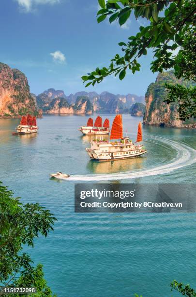 aerial picturesque scenery with luxury cruises (sail boat) in ha long bay, quang ninh, vietnam (halong) - baia di ha long foto e immagini stock