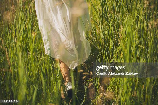 a girl in a white light chiffon dress fluttering in the wind, walking in the tall green grass in the field, on a sunny summer day - tall women stock pictures, royalty-free photos & images