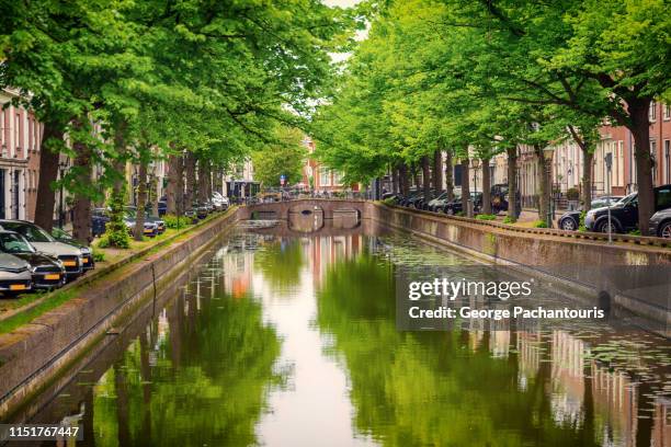 canal in the center of the hague, holland - the hague bildbanksfoton och bilder