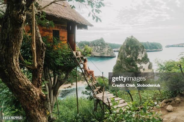 schilderachtige mening van vrouw dichtbij het boomhuis dichtbij de zee op nusa penida - indonesia women stockfoto's en -beelden